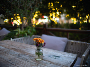 SPEEDMASTER 17mm F0.95-8
