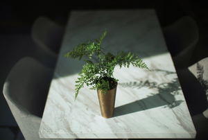 SPEEDMASTER 50mm F0.95 EF-4