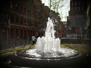 SPEEDMASTER 50mm F0.95 EF-5
