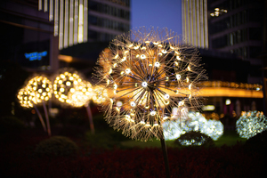SPEEDMASTER 50mm F0.95 EF-9