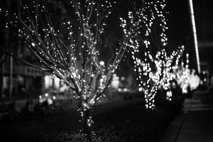 50mm F0.95 III-16