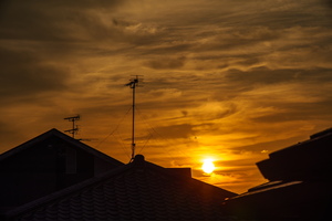 APO 135mm F2.5 ED
